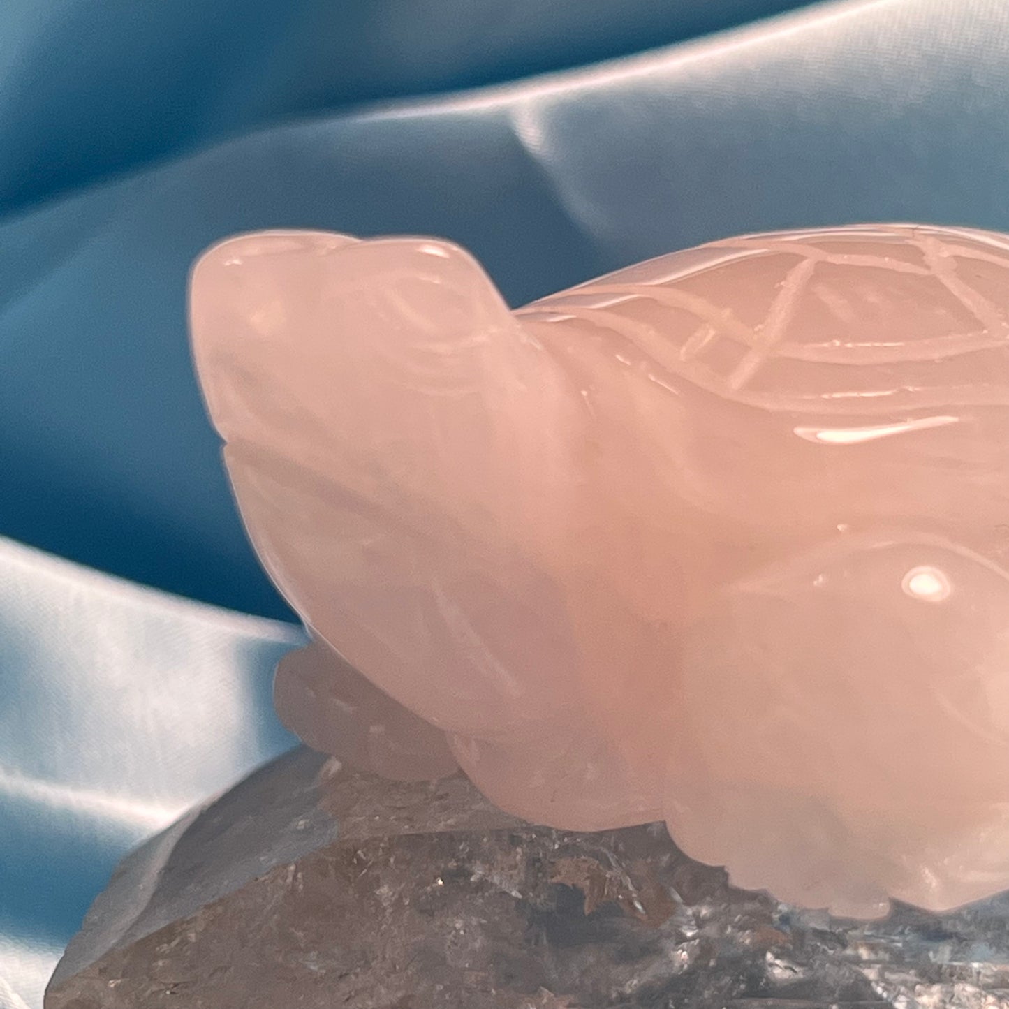 Rose Quartz Turtle
