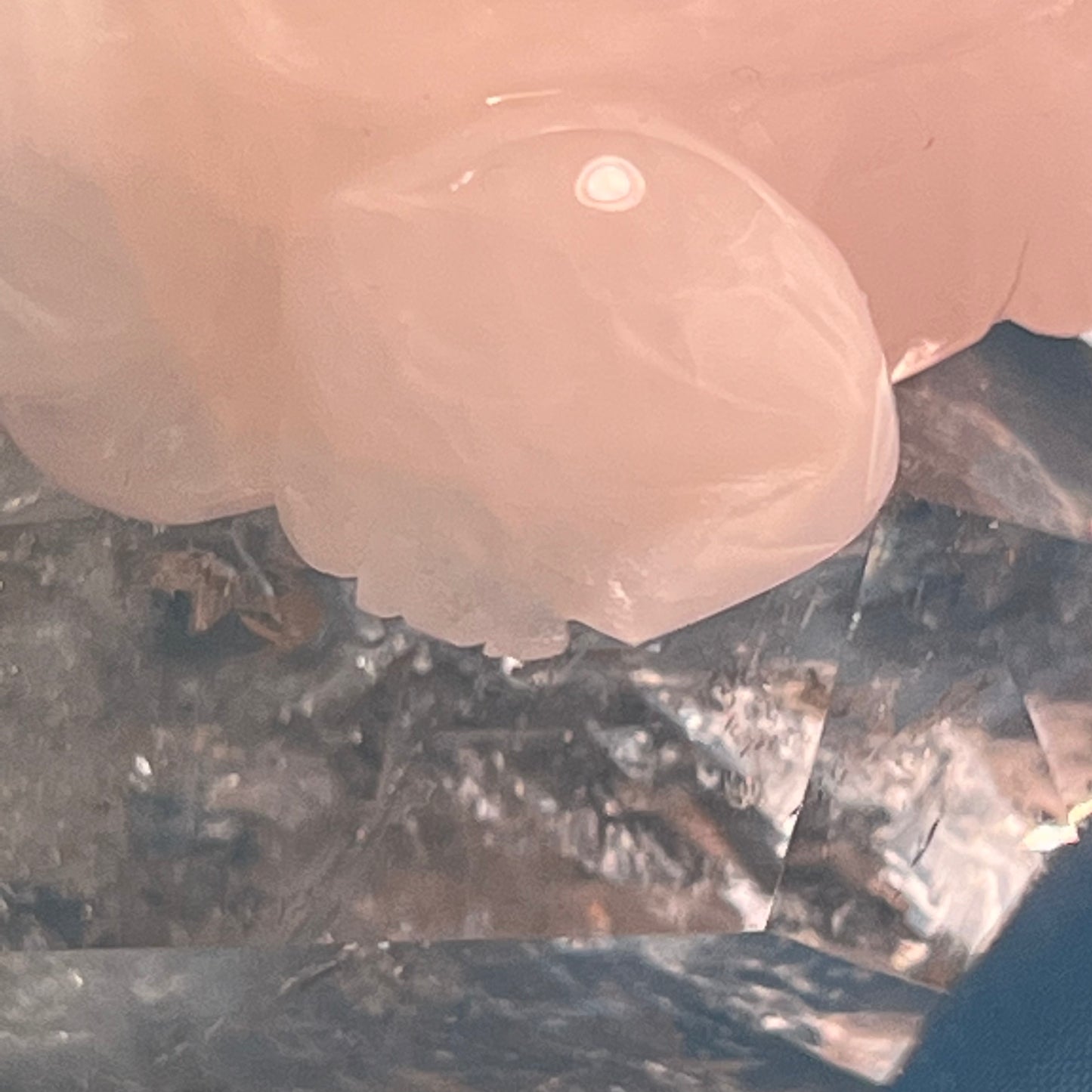 Rose Quartz Turtle