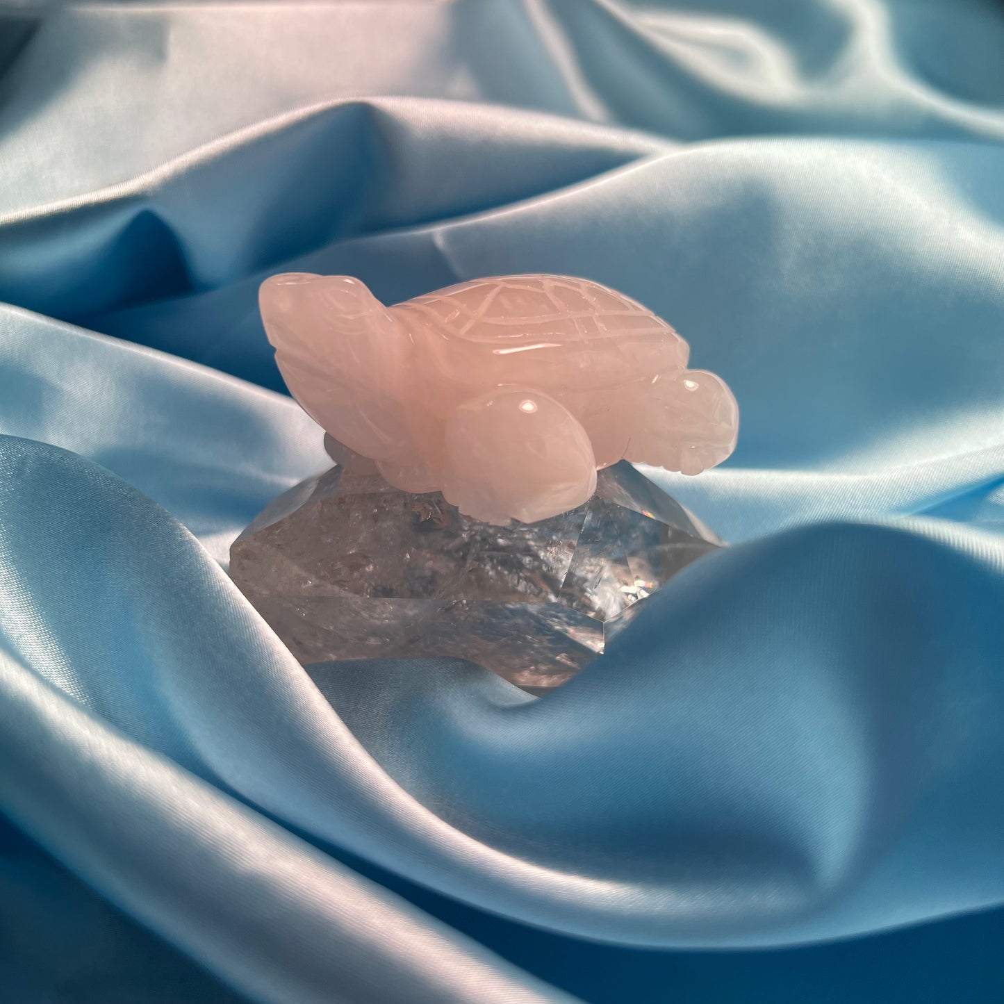 Rose Quartz Turtle