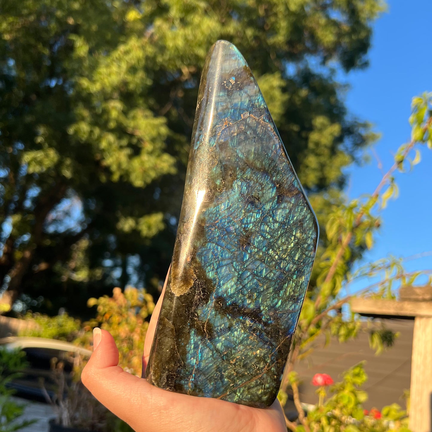 Labradorite FreeForm