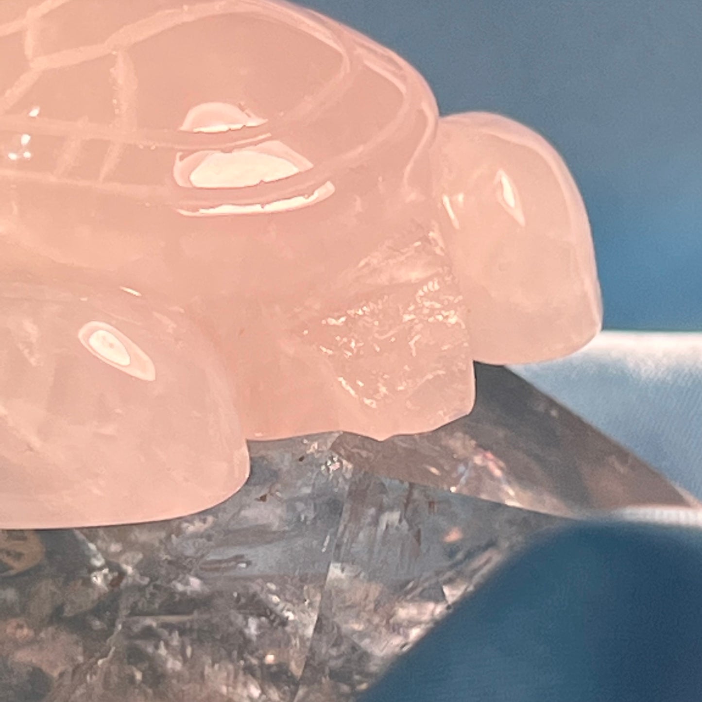 Rose Quartz Turtle