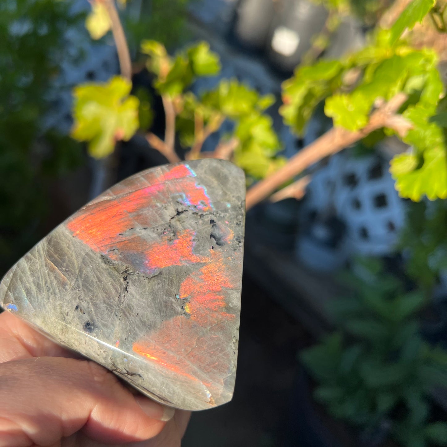 Labradorite Freeform