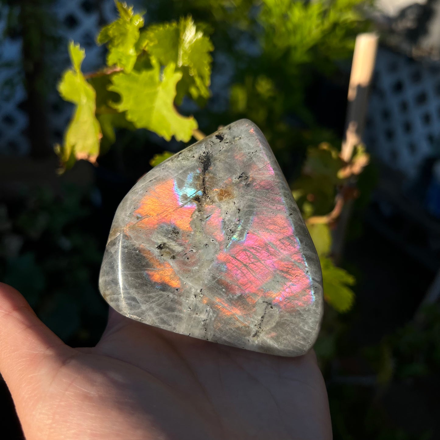Labradorite Freeform