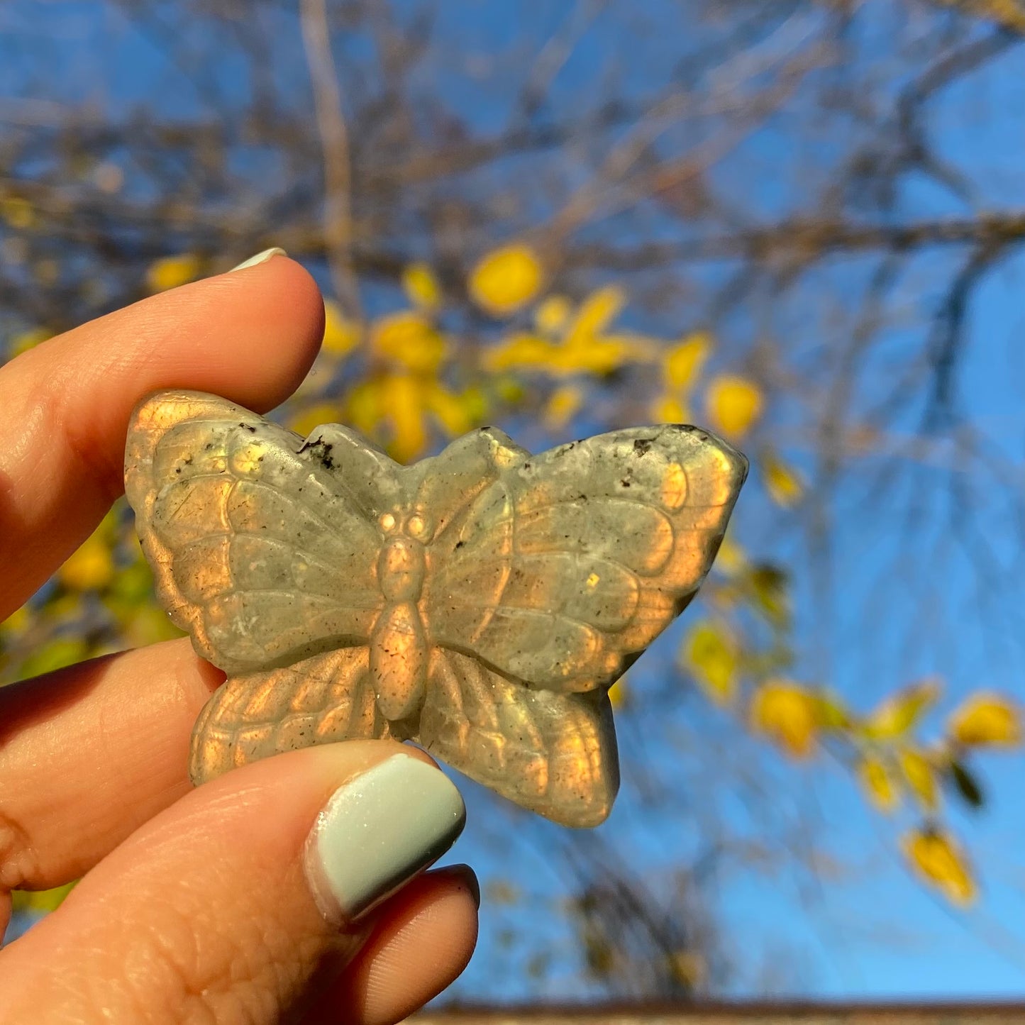 Carved Butterfly Labradorite Slab