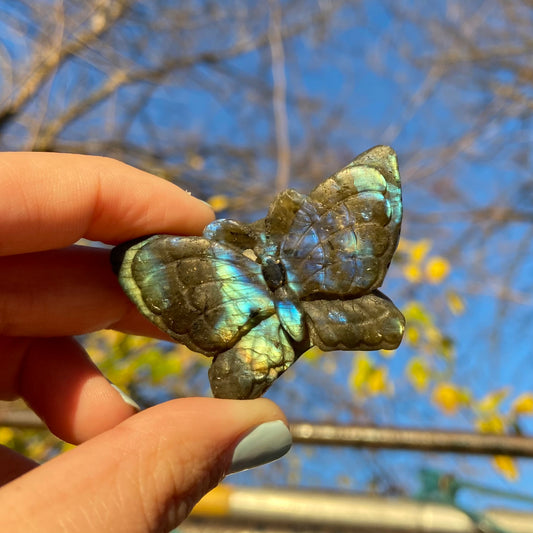 Carved Butterfly Labradorite Slab