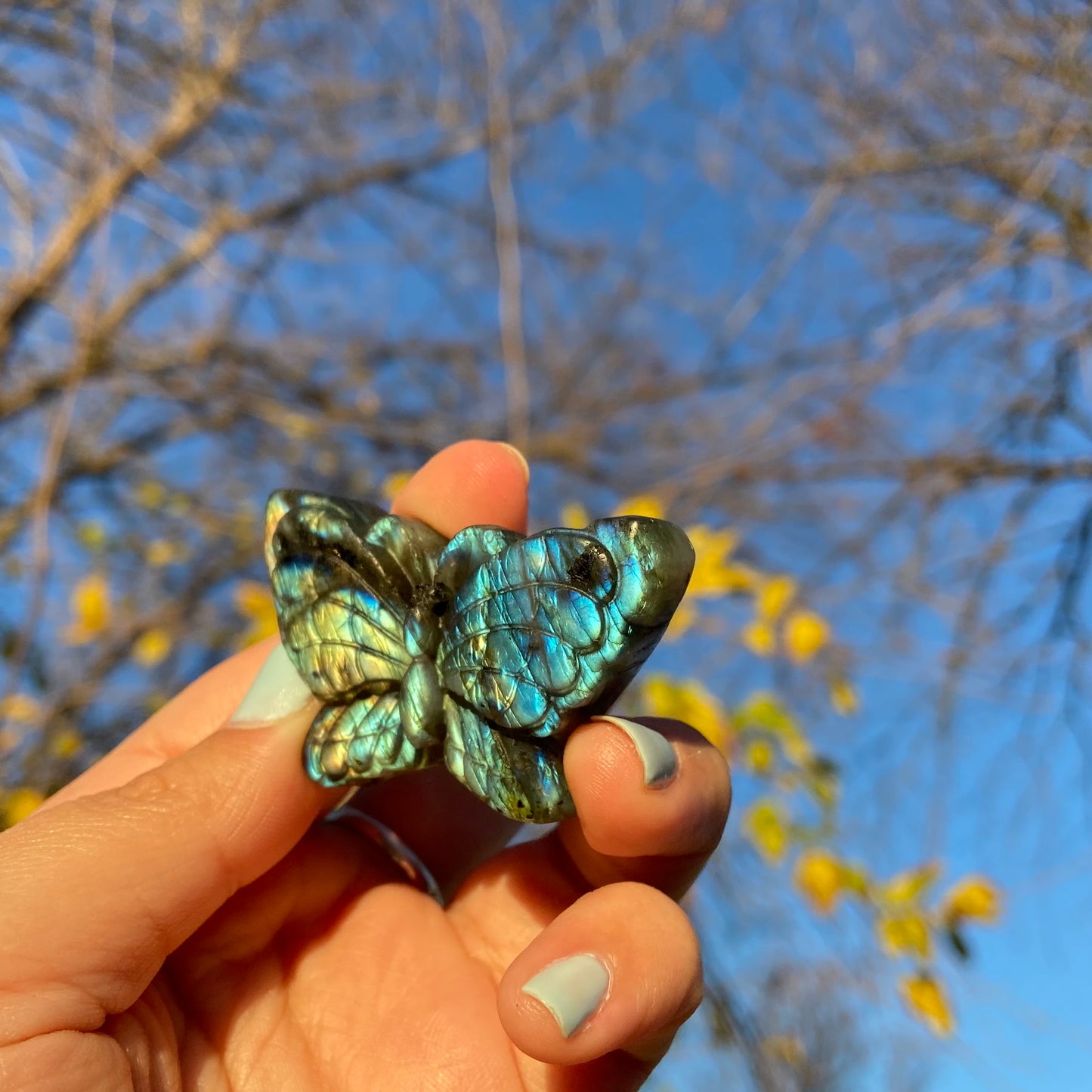 Carved Butterfly Labradorite Slab