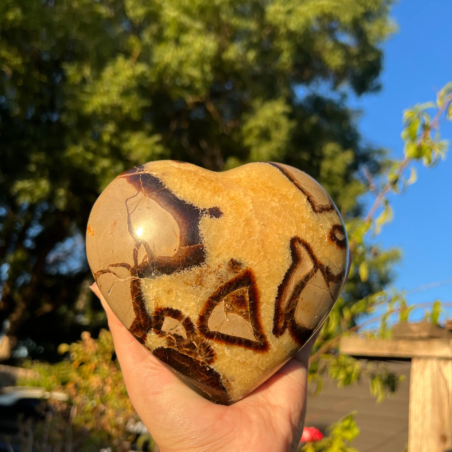 Large Septarian Heart