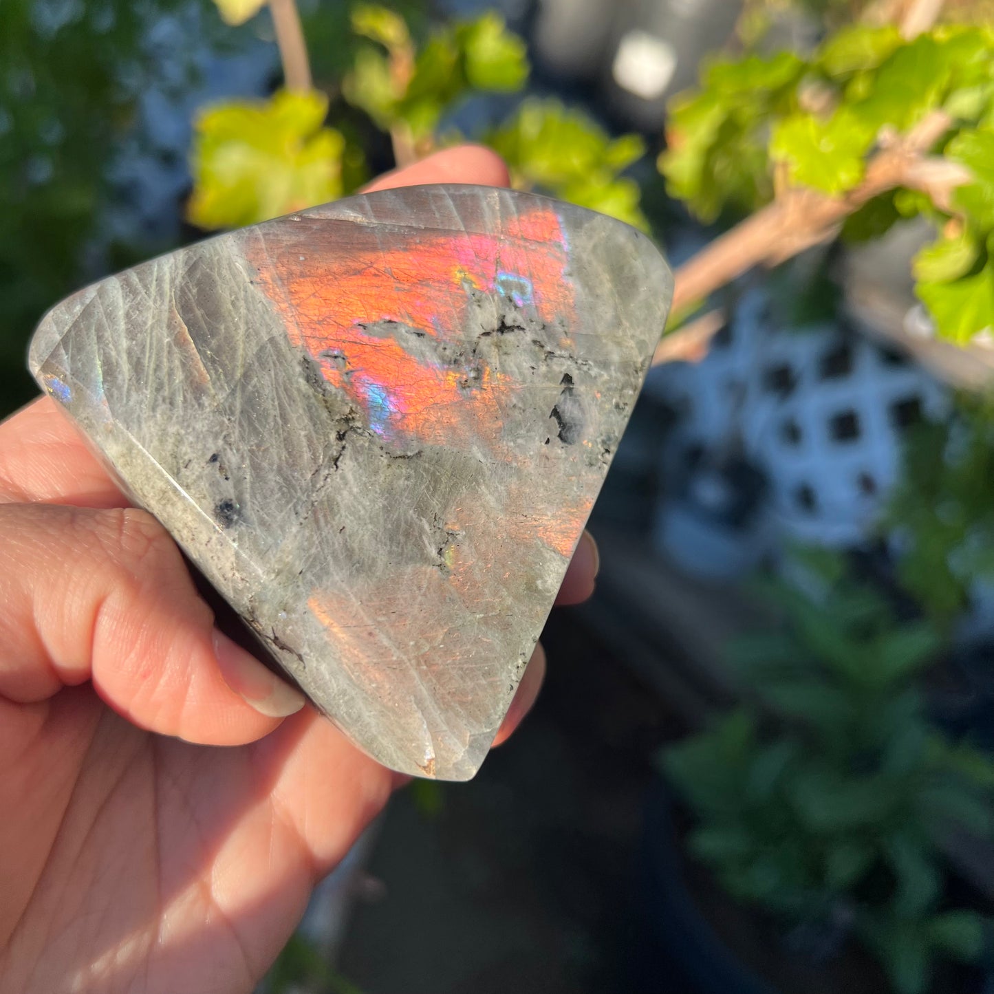 Labradorite Freeform