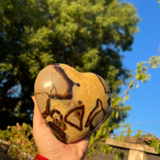 Large Septarian Heart
