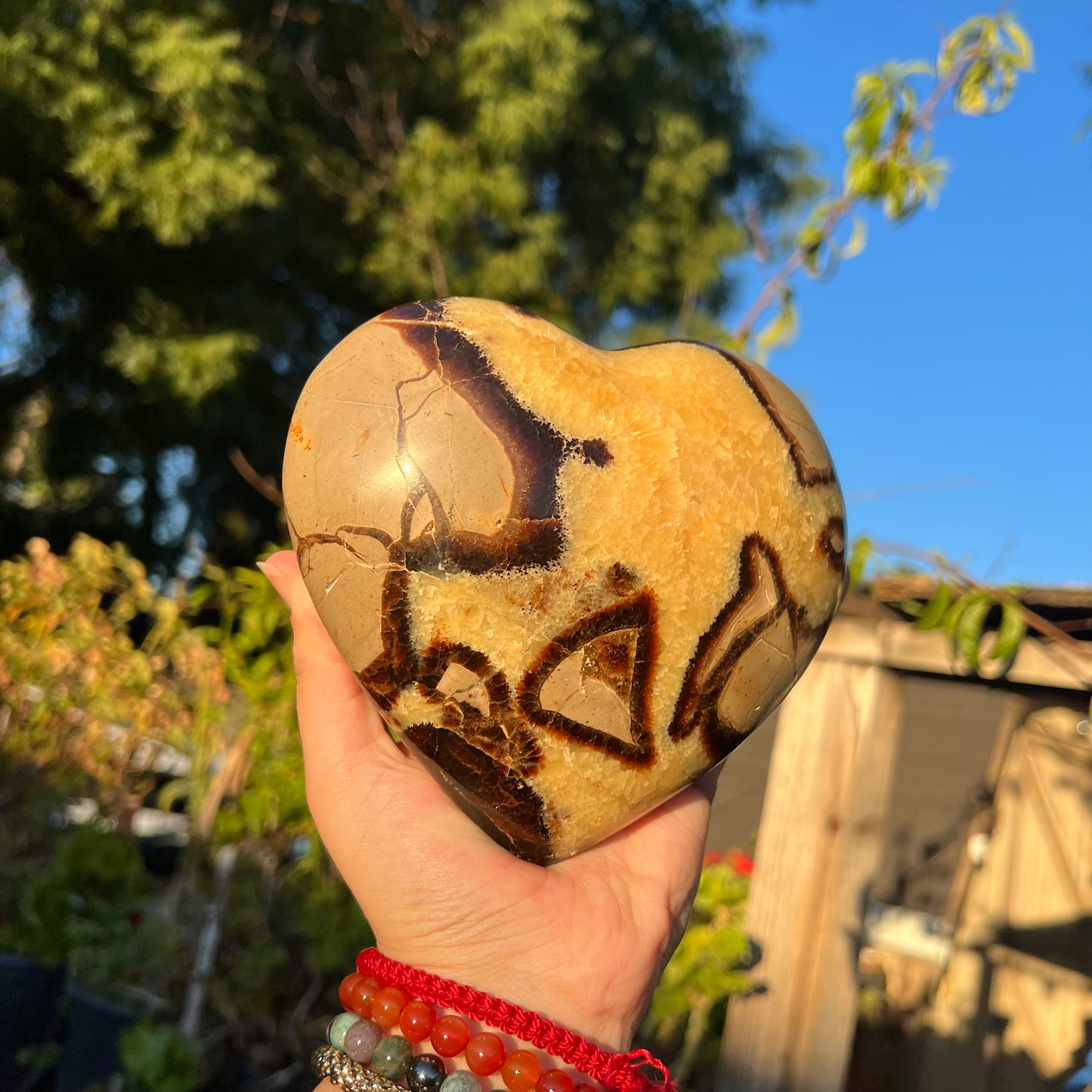 Large Septarian Heart
