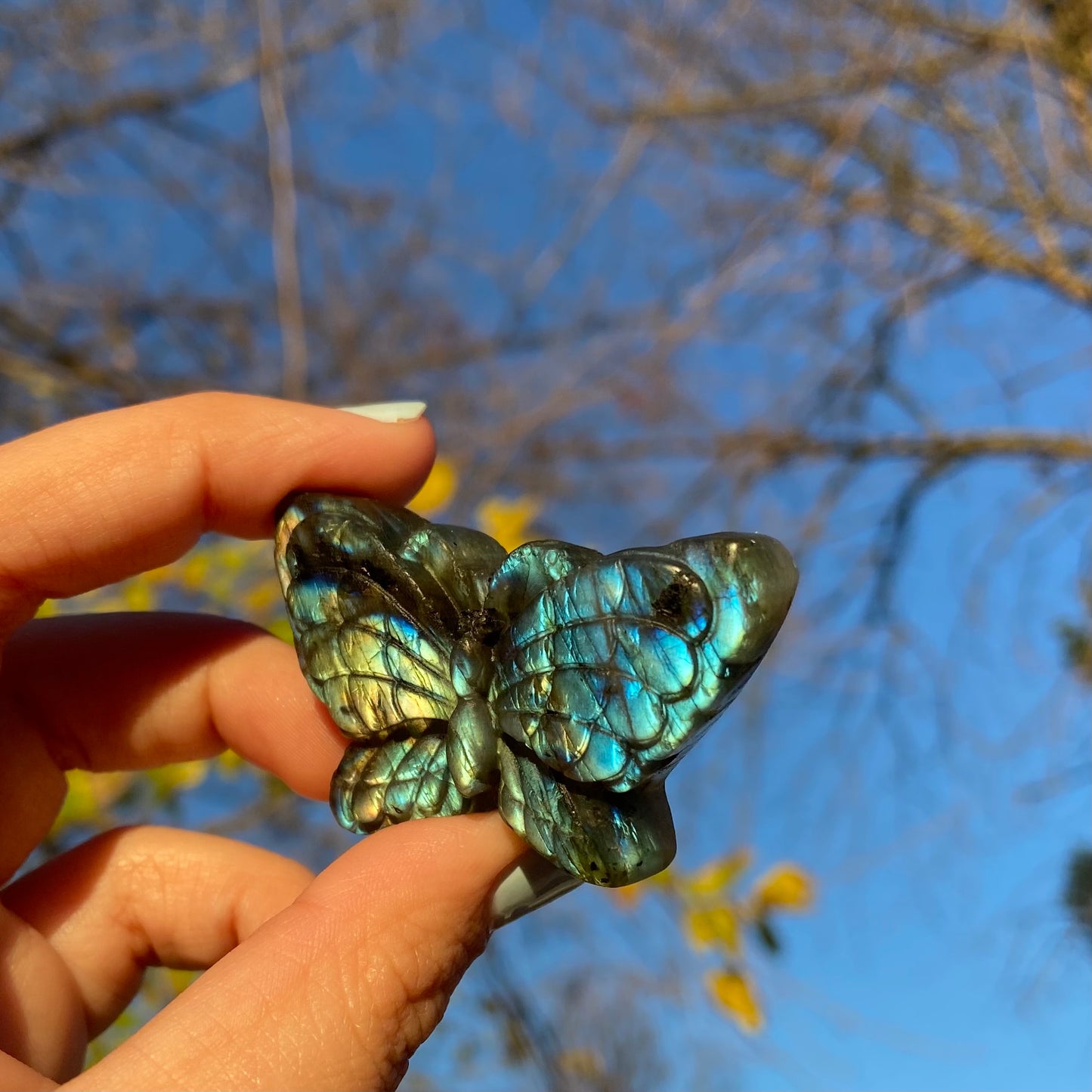 Carved Butterfly Labradorite Slab
