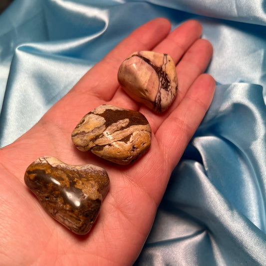 Petrified Wood Tumbles
