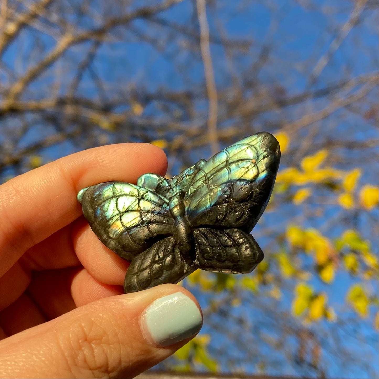 Carved Butterfly Labradorite Slab