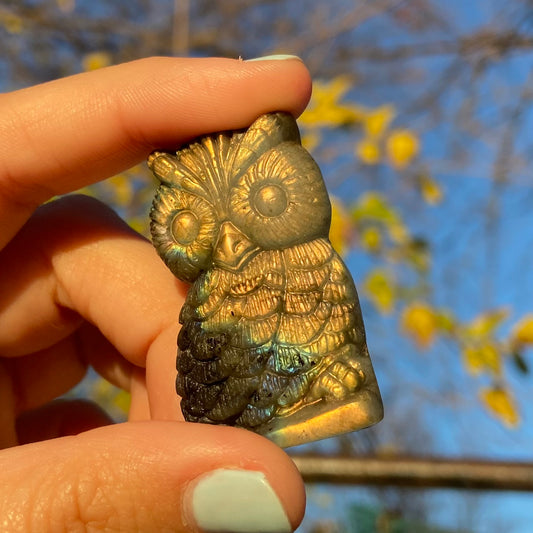 Carved Owl Labradorite Slab