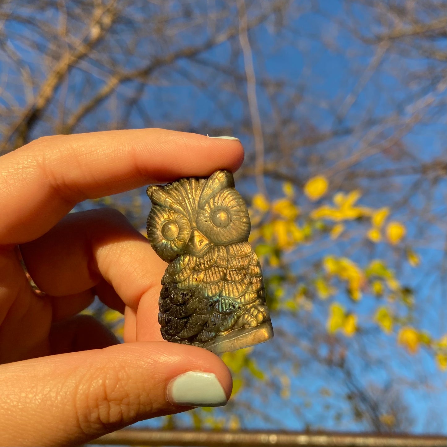 Carved Owl Labradorite Slab