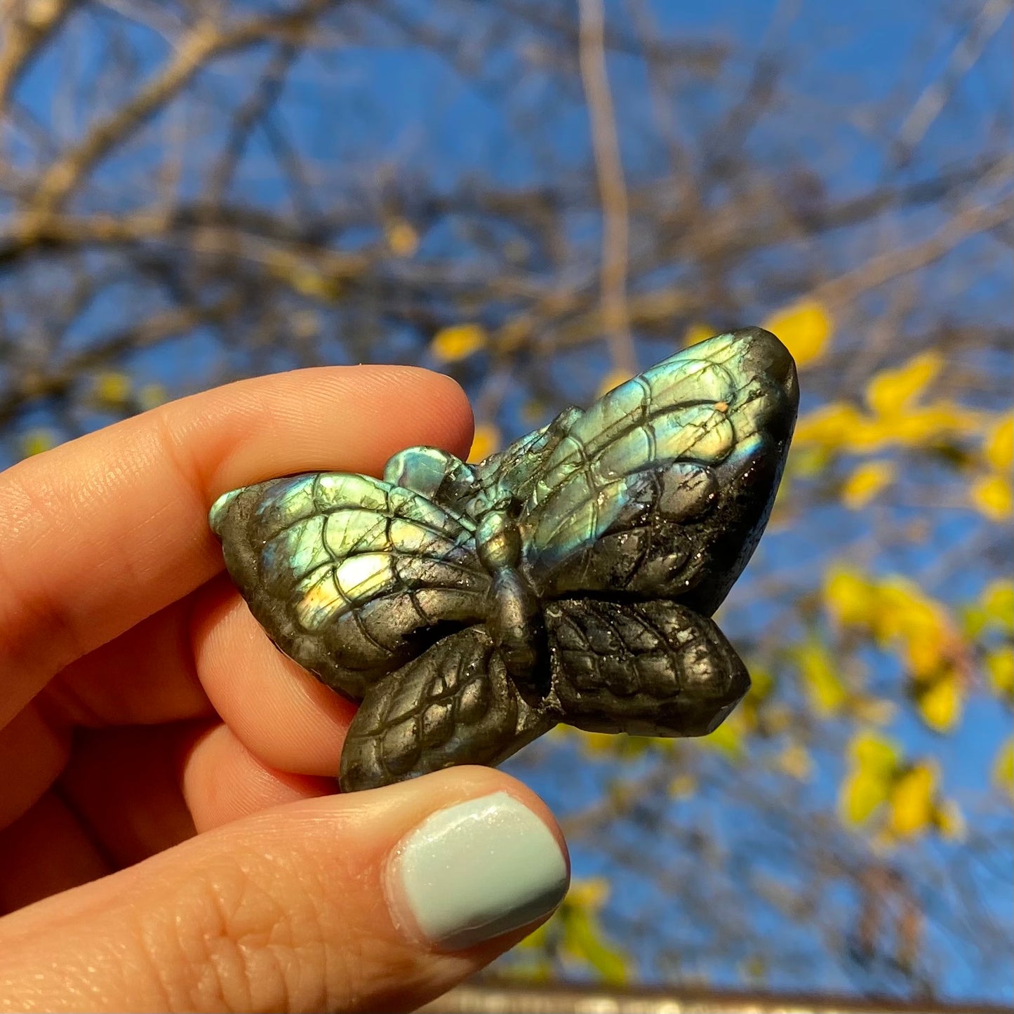 Carved Butterfly Labradorite Slab