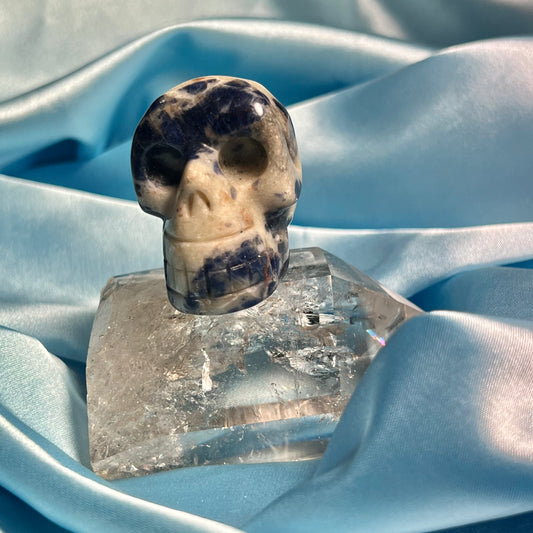 Sodalite Skull