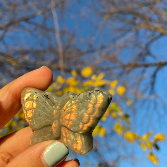 Carved Butterfly Labradorite Slab