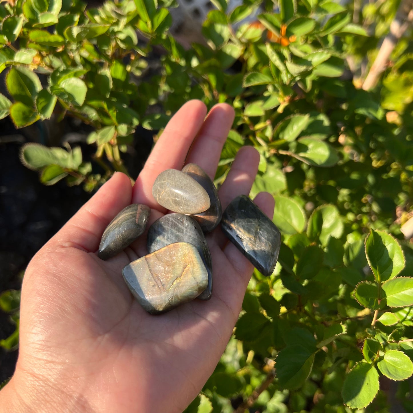 Labradorite Tumbles