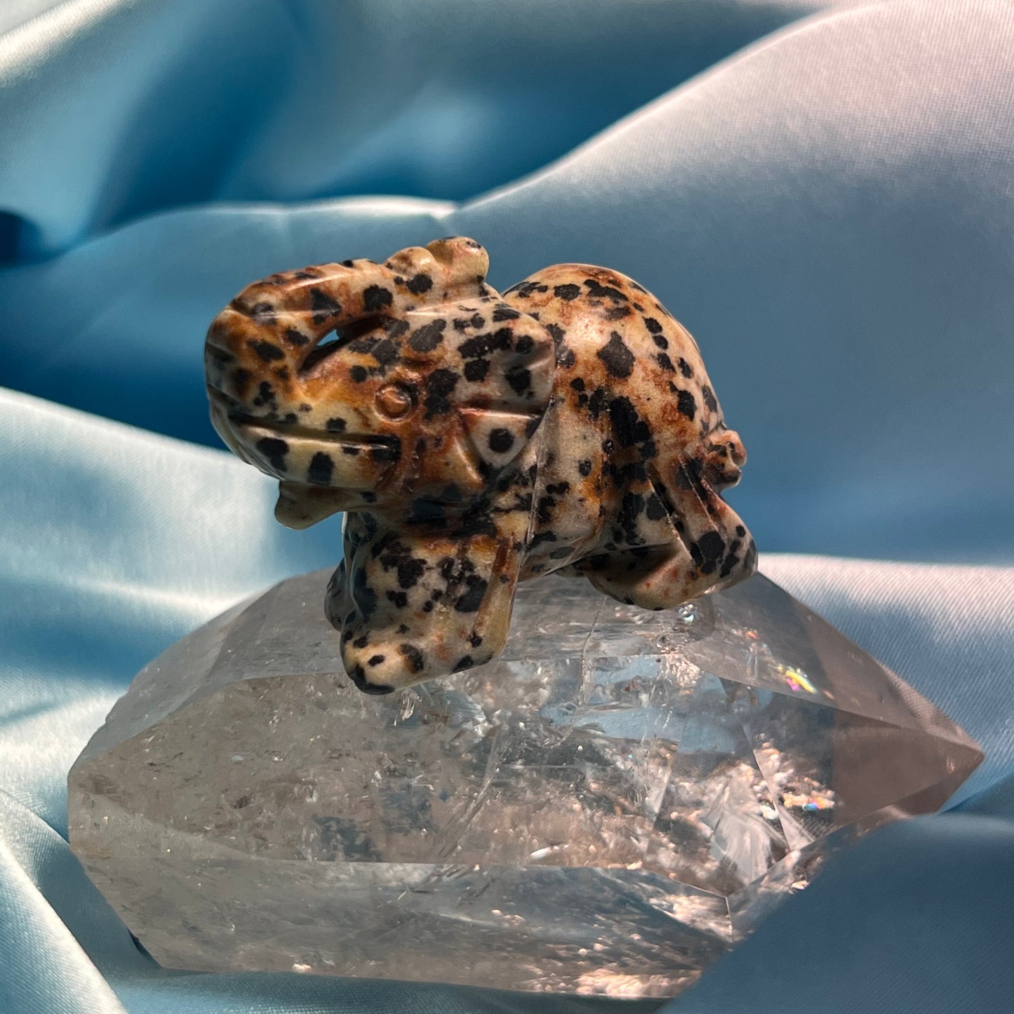 Dalmatian Jasper Elephant