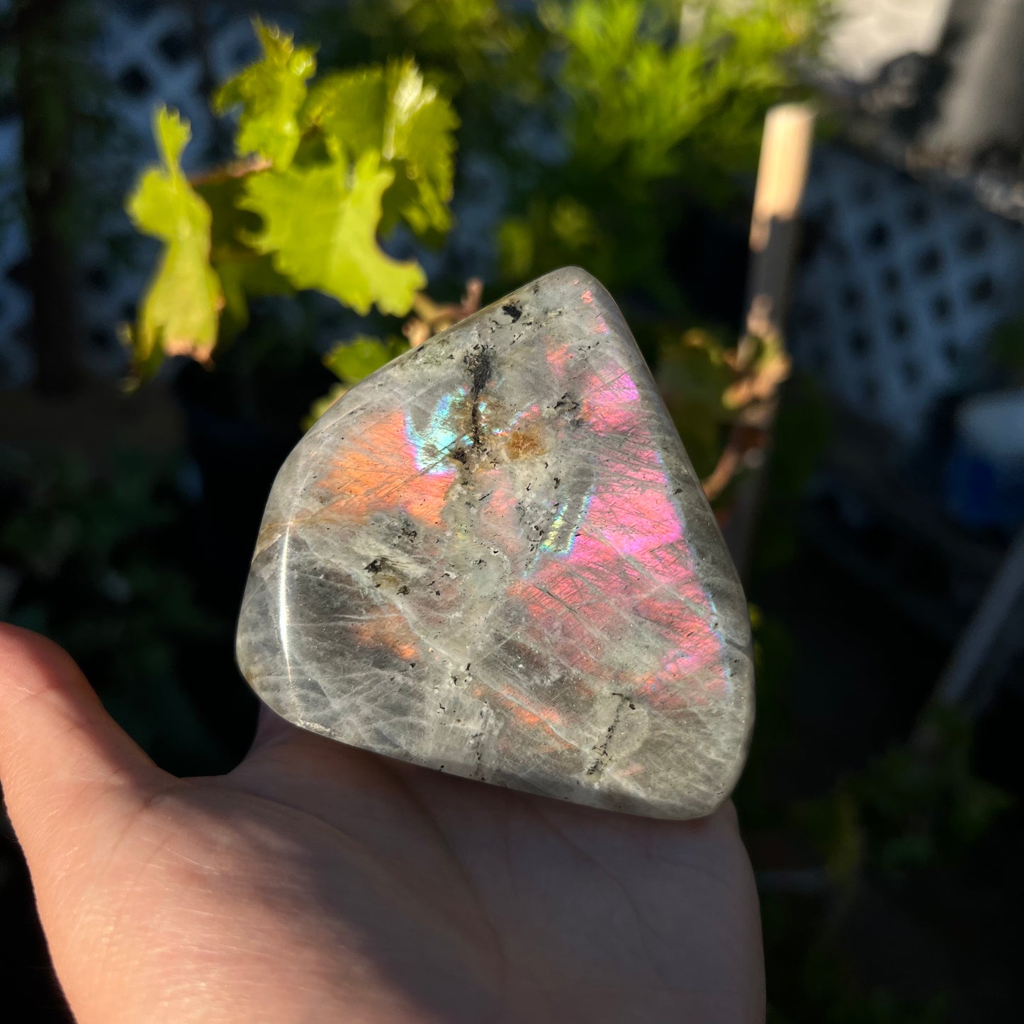 Labradorite Freeform
