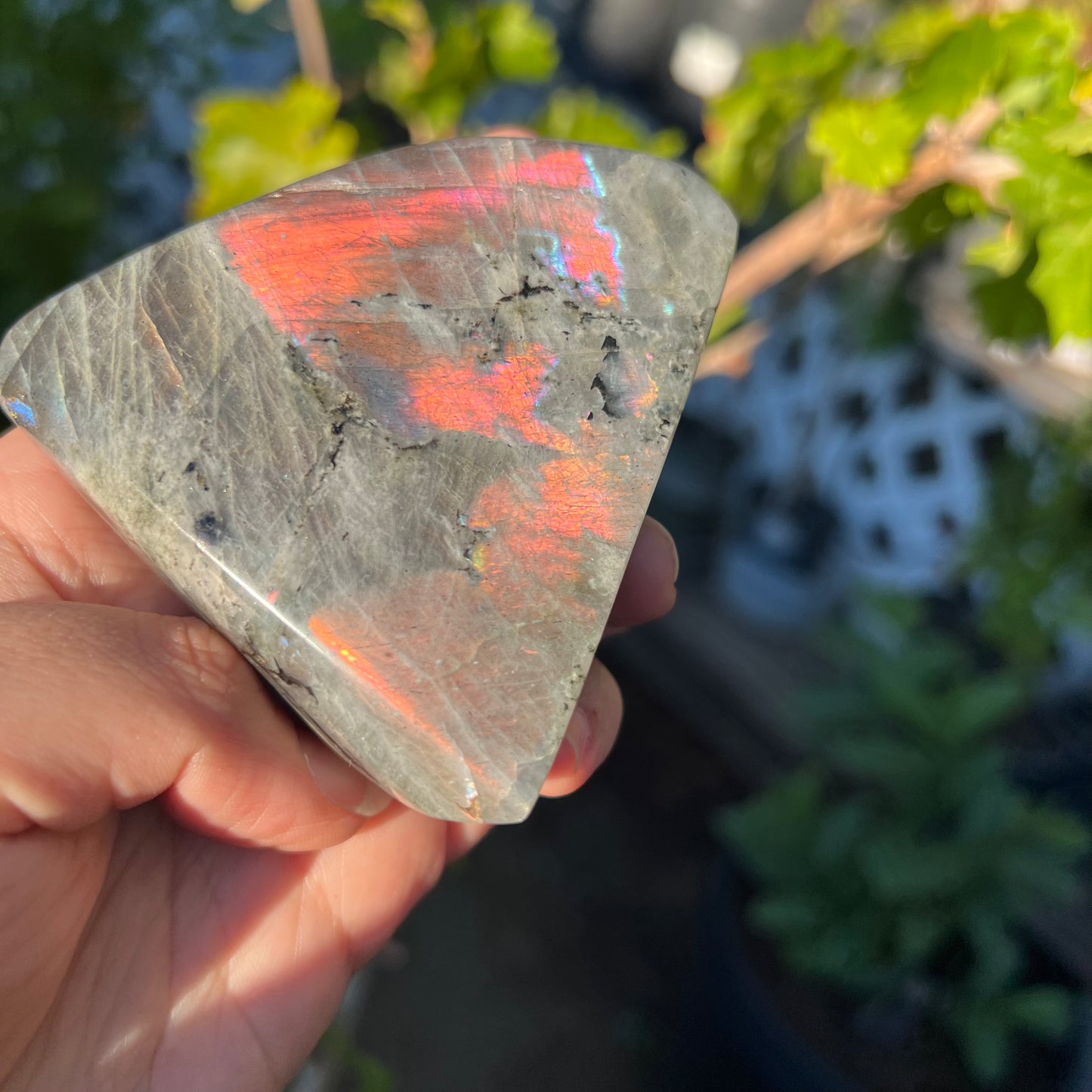 Labradorite Freeform