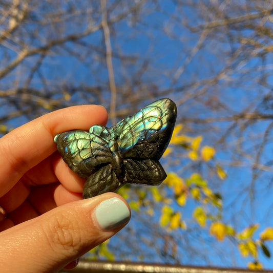 Carved Butterfly Labradorite Slab