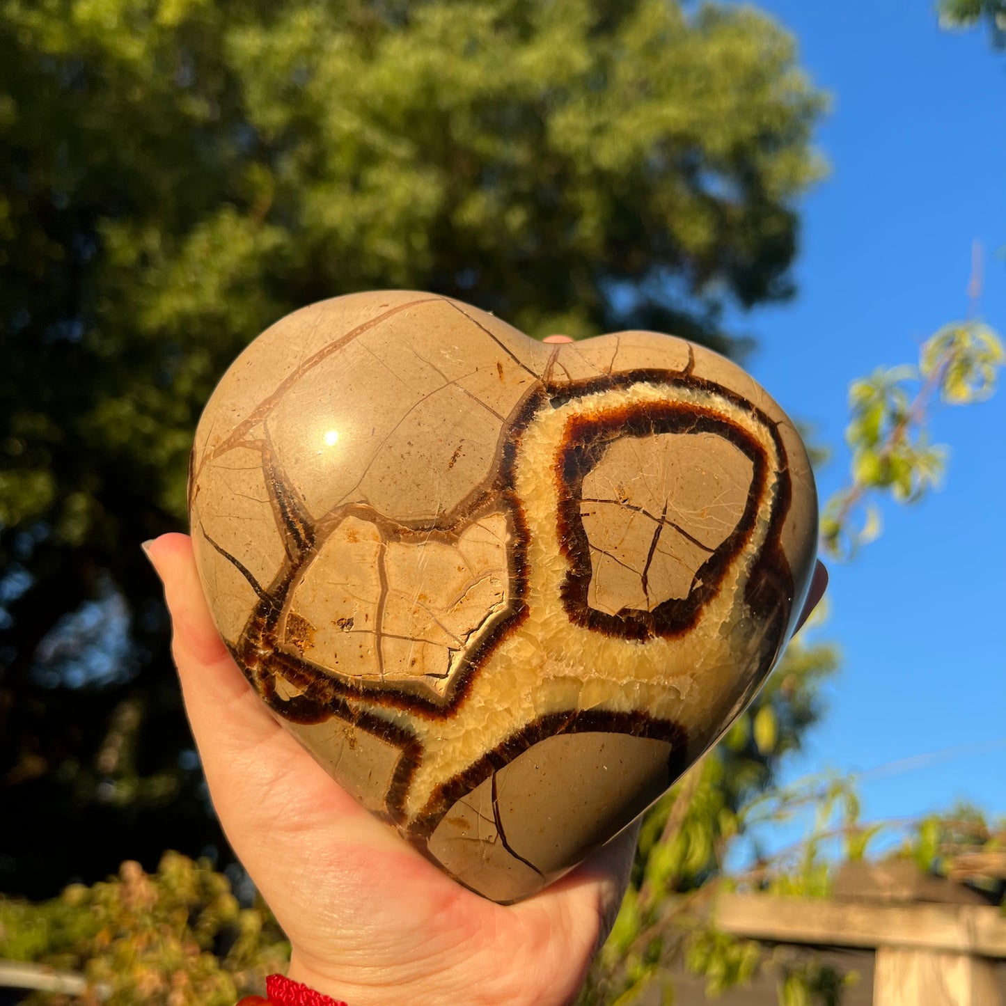 Large Septarian Heart