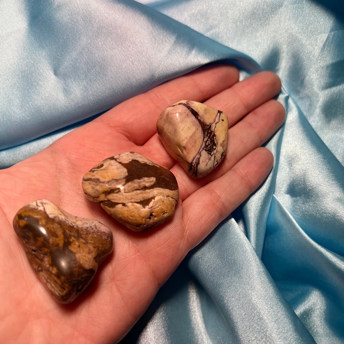 Petrified Wood Tumbles