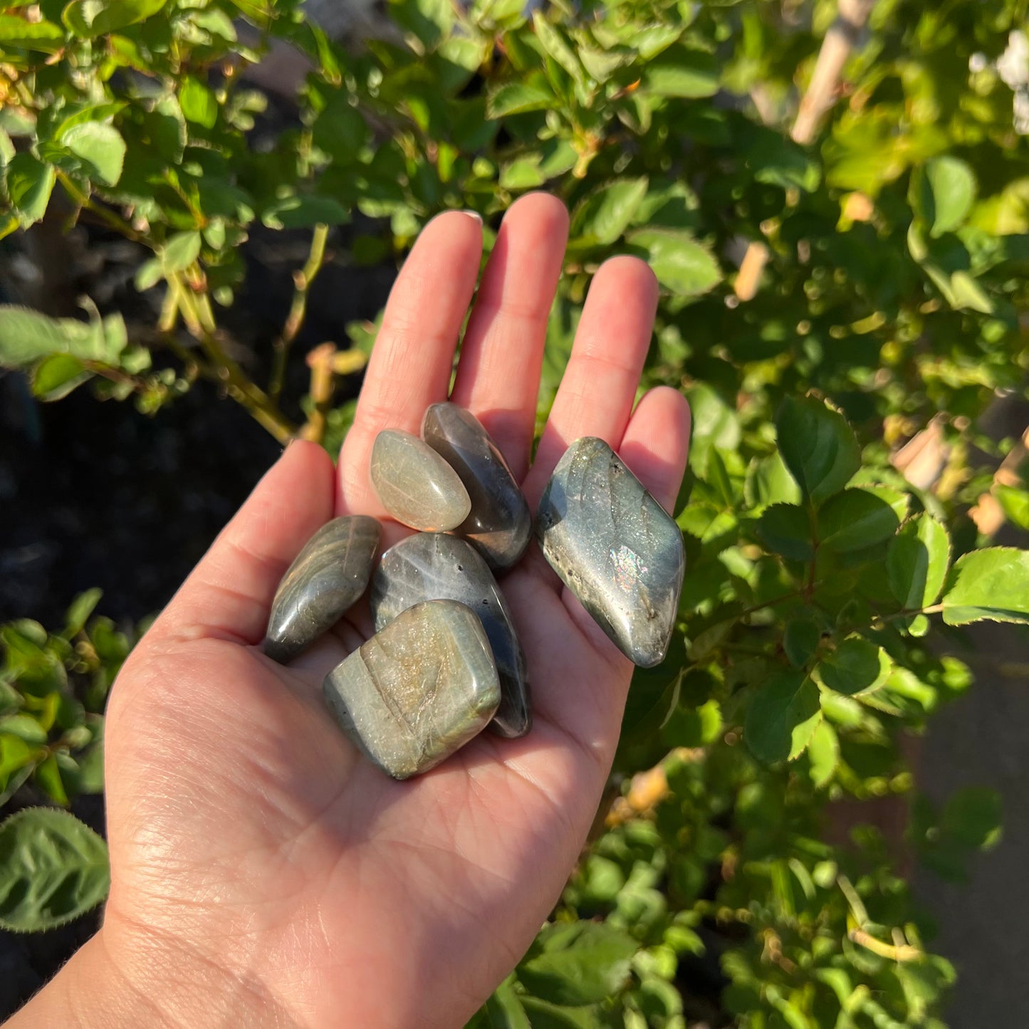 Labradorite Tumbles