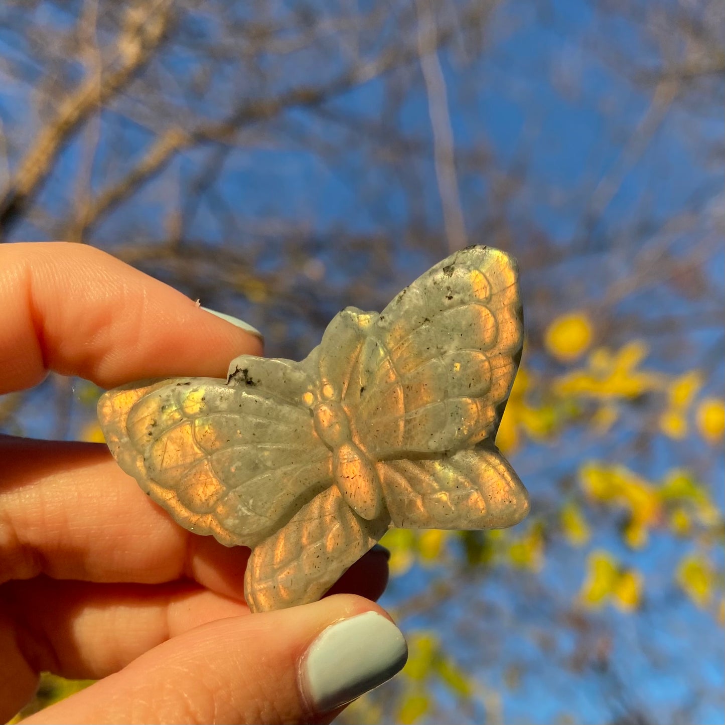 Carved Butterfly Labradorite Slab