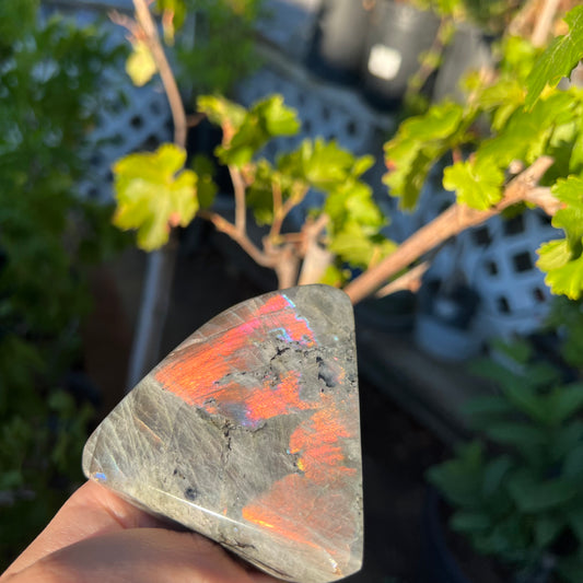 Labradorite Freeform
