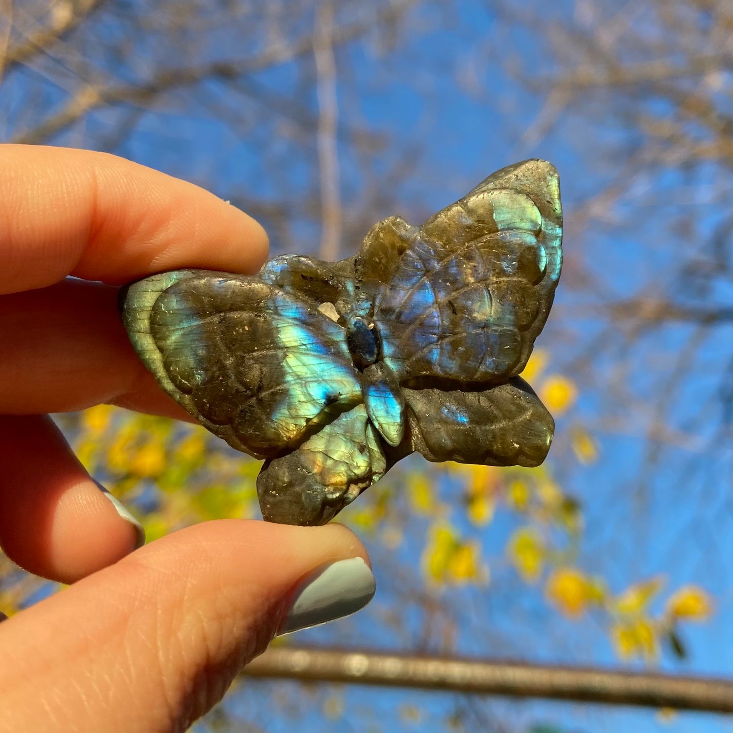 Carved Butterfly Labradorite Slab