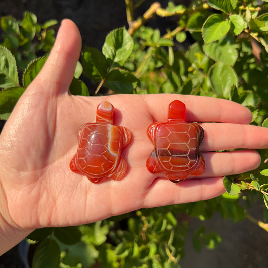 Carnelian Turtles